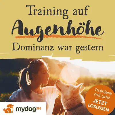 Training auf Augenhöhe